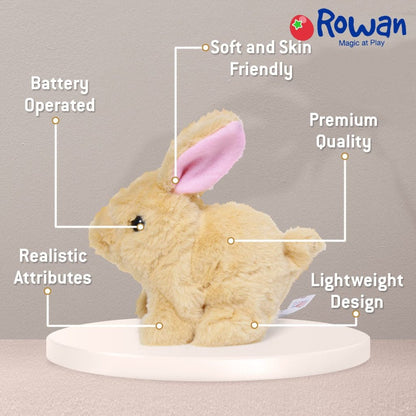 Walking and Talking Rabbit